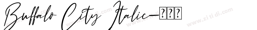 Buffalo City Italic字体转换